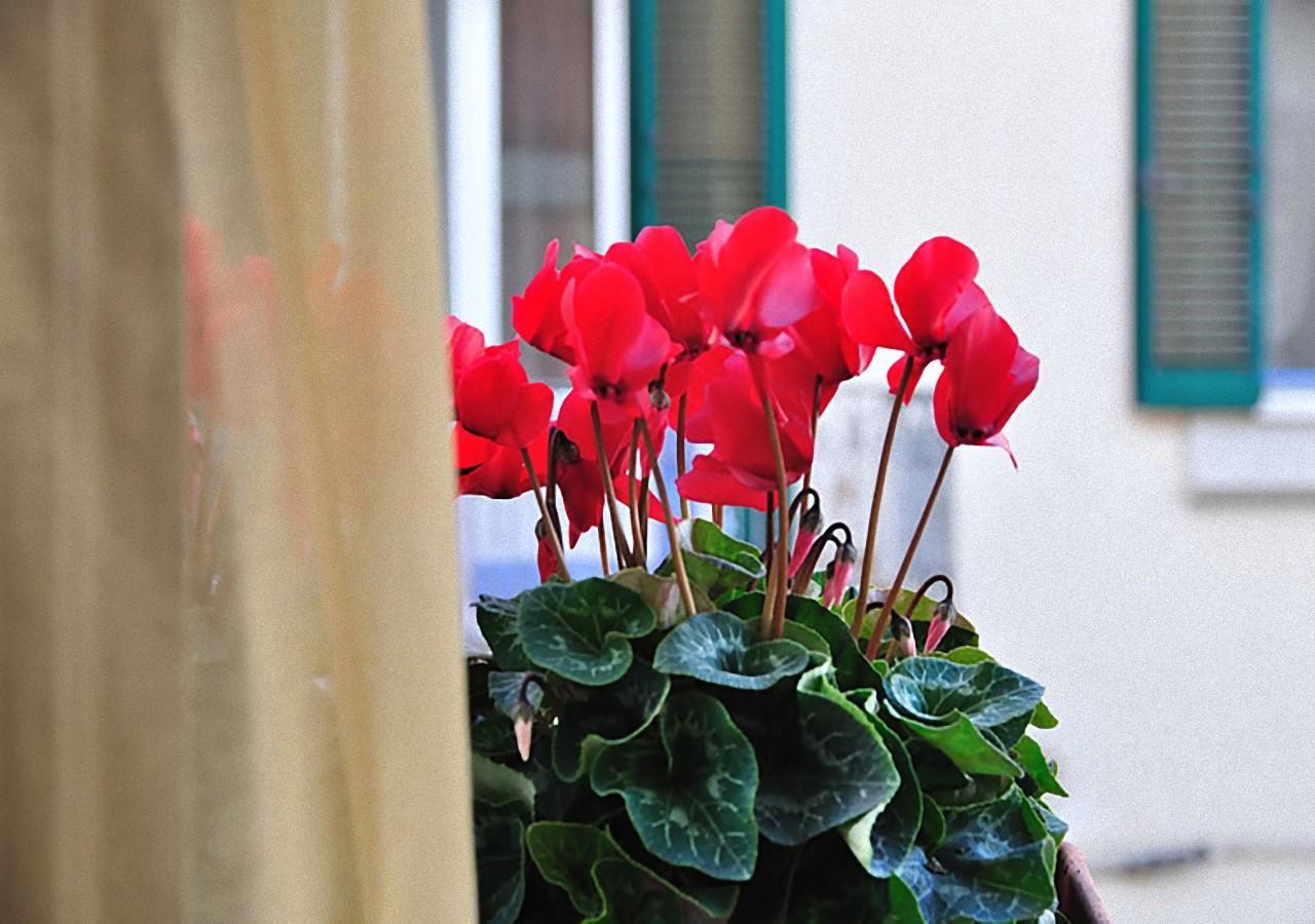 Donna Eleonora Residence Matera Dış mekan fotoğraf